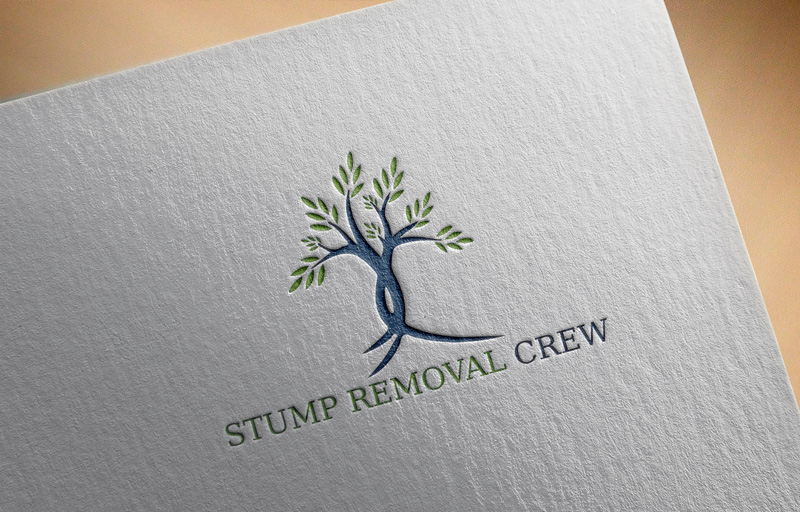 Logo Design by imshohaghossain85 for this project | Design #15775679