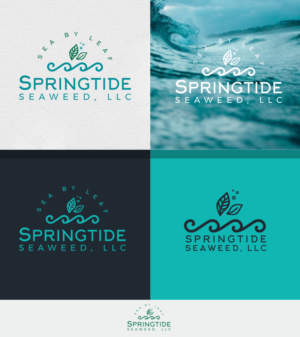 Logo Design by ivan for Springtide Seaweed, LLC | Design #15849791