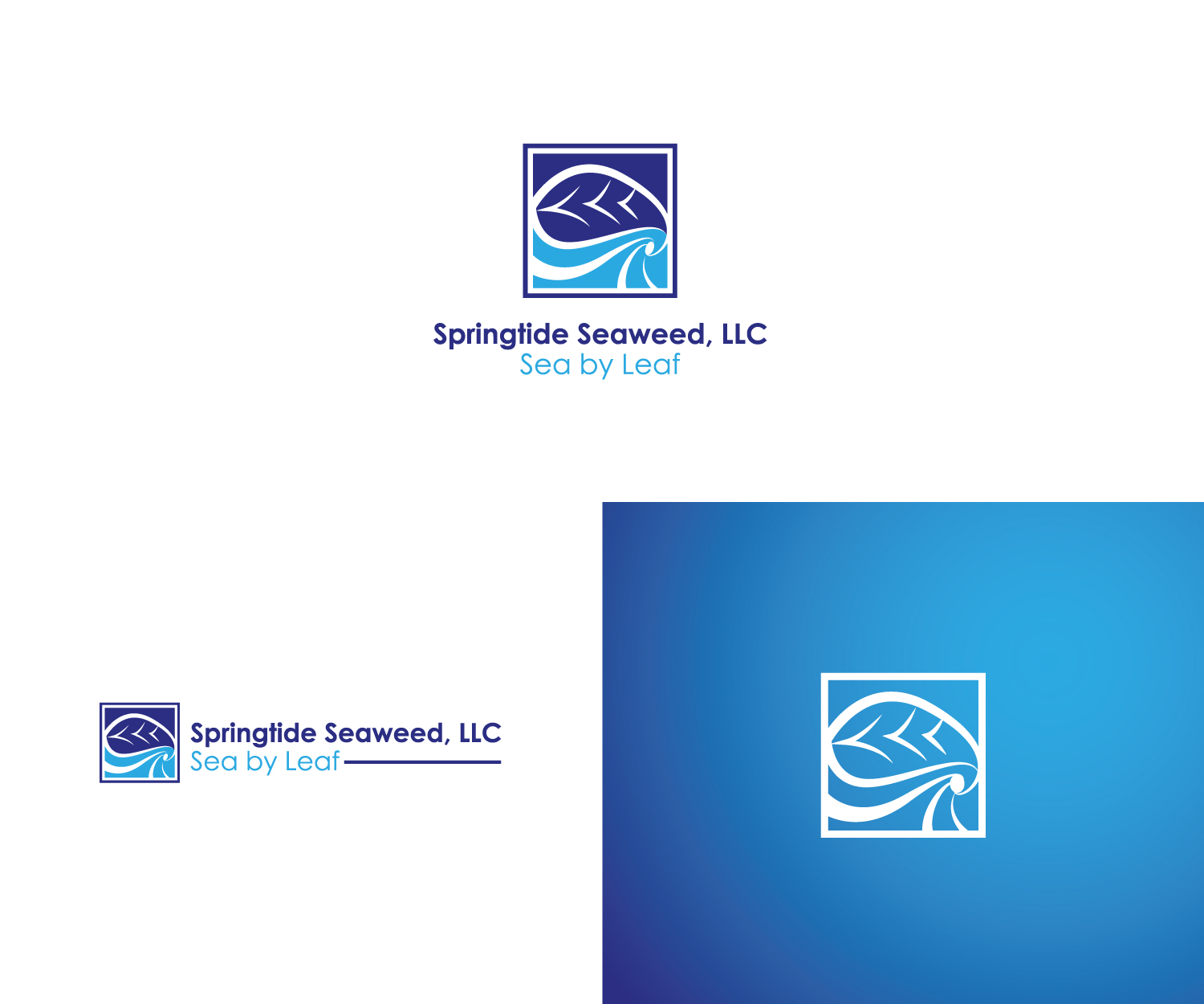 Logo Design by FLoc! Studio for Springtide Seaweed, LLC | Design #15812282