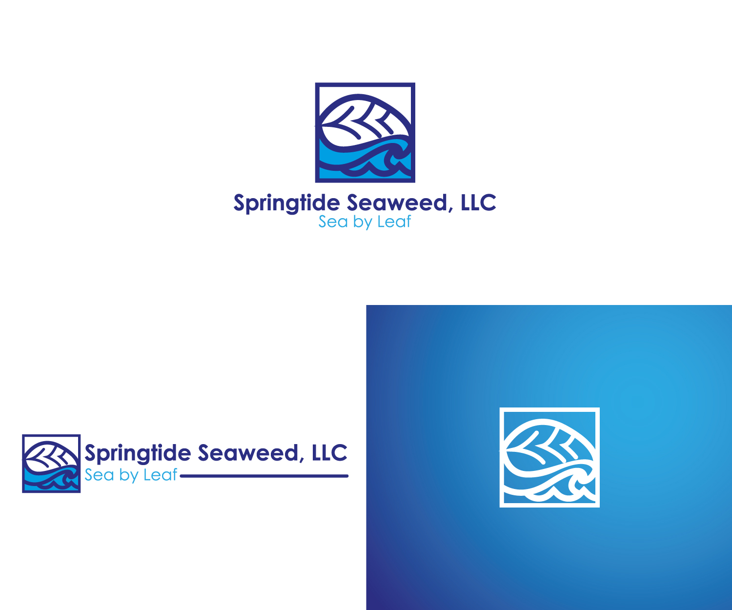 Logo Design by FLoc! Studio for Springtide Seaweed, LLC | Design #15819425