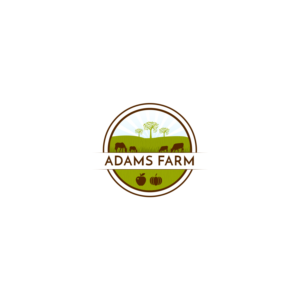 Logo Design by Nirav01