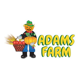 Logo Design by Archaeologo