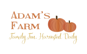 Logo Design by Jen Jensen