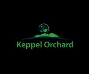 Design de Logo par EGYPT KING pour ce projet | Design : #15741092