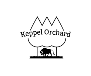 Logo Design by Nonso Onwodi