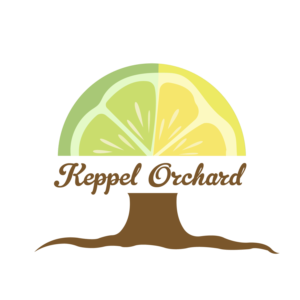 Logo Design by Morgan 3 for this project | Design #15799705