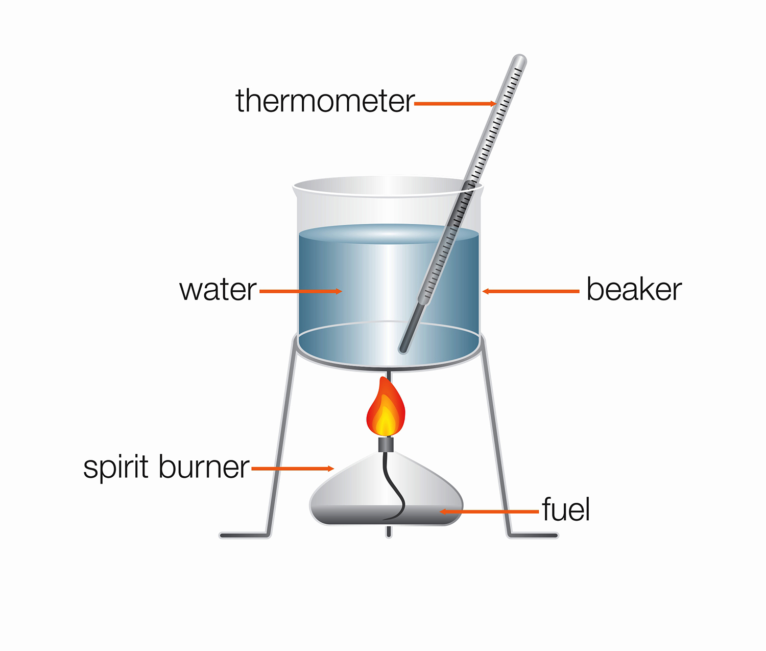 Vector Design by ImageNation for this project | Design #15861505