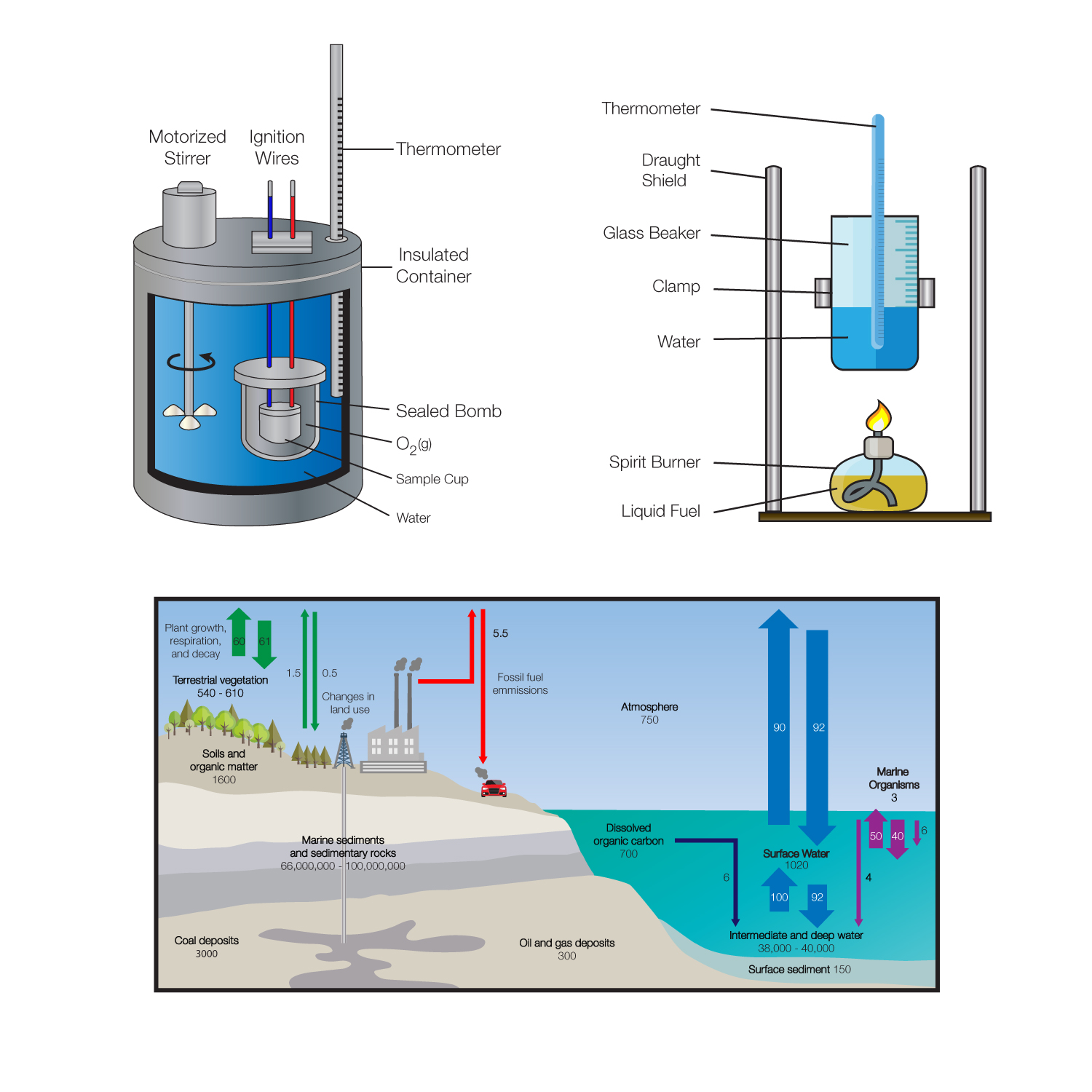 Diseño Vectorizado por DesignerGuide para este proyecto | Diseño #15757978