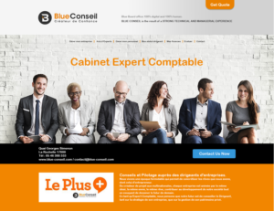 Web Design by DesignFive for blue conseil | Design: #15719644