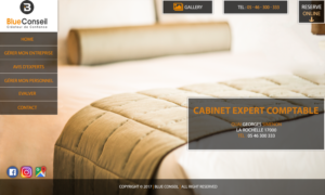 Web-Design von NS für blue conseil | Design #15733904