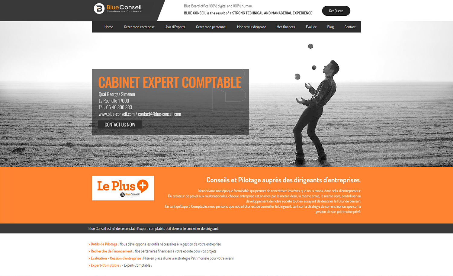 Web Design by Valtti Design for blue conseil | Design #15726596