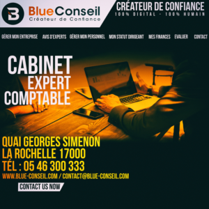 Web-Design von Mahmoud R für blue conseil | Design #15720664