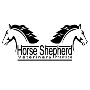 Logo Design by enfamousd3sign