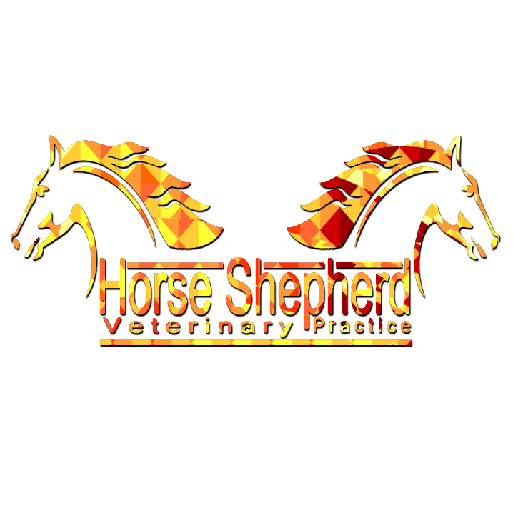 Logo Design by enfamousd3sign for this project | Design #15788389