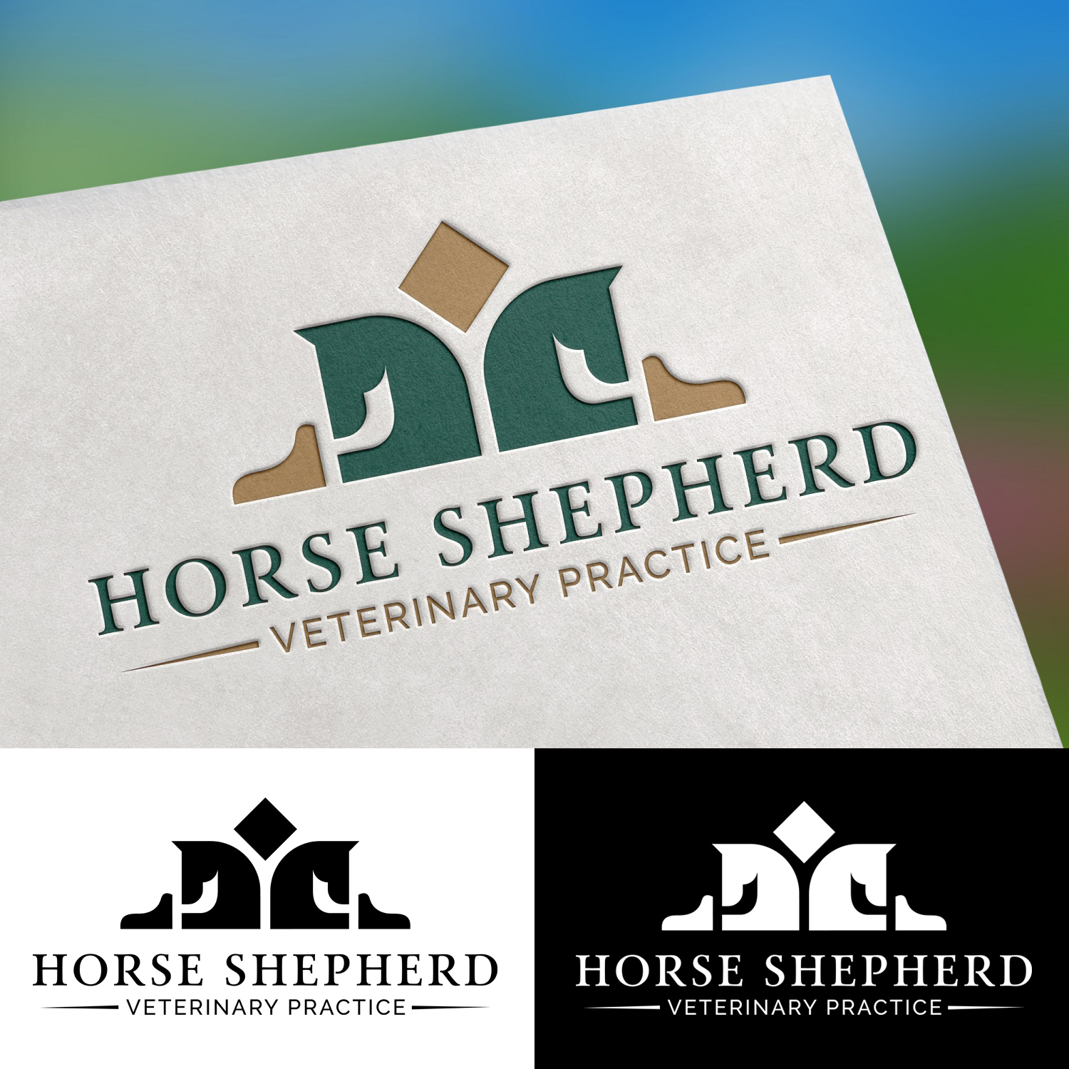 Logo Design by TheLogoHouse for this project | Design #15742989