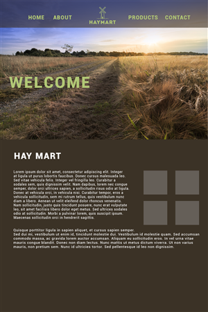 Web Design by Alvin Powell LYNX