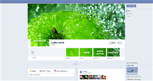 Facebook Design by lojke