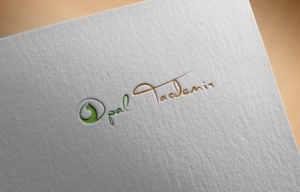 Diseño de Logo por P. S para Opal tasdemir  | Diseño: #15834473