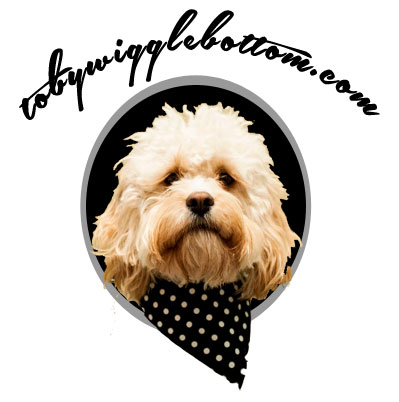 Logo Design by Don Macauley for www.dentaltemps.com.au | Design #2606374