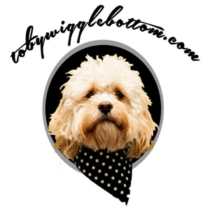 Design de Logo par Don Macauley pour www.dentaltemps.com.au | Design : #2606374