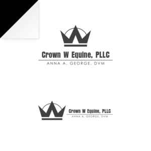 Design de Logo par 3i55ej pour ce projet | Design #15881132