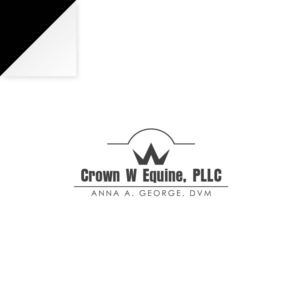 Logo Design by 3i55ej for this project | Design: #15881209