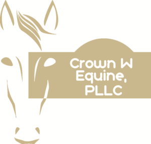 Logo Design by nicoleziner for this project | Design: #15905144