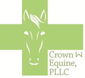 Logo Design by nicoleziner for this project | Design: #15905220