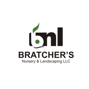 Logo Design by van575