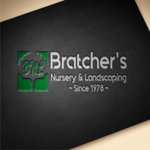 Logo Design by chafidun95