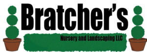 Logo Design by mewooden