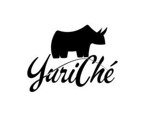 Logo Design by Costea Dan