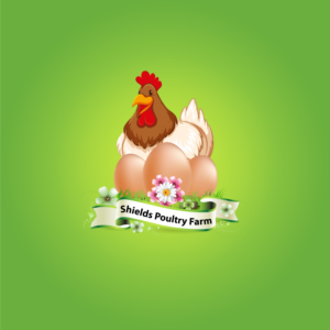 Logo Design by desingman
