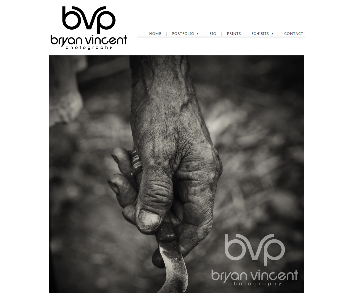 Logo Design by carina_designs for Bryan Vincent Photography | Design #15849699