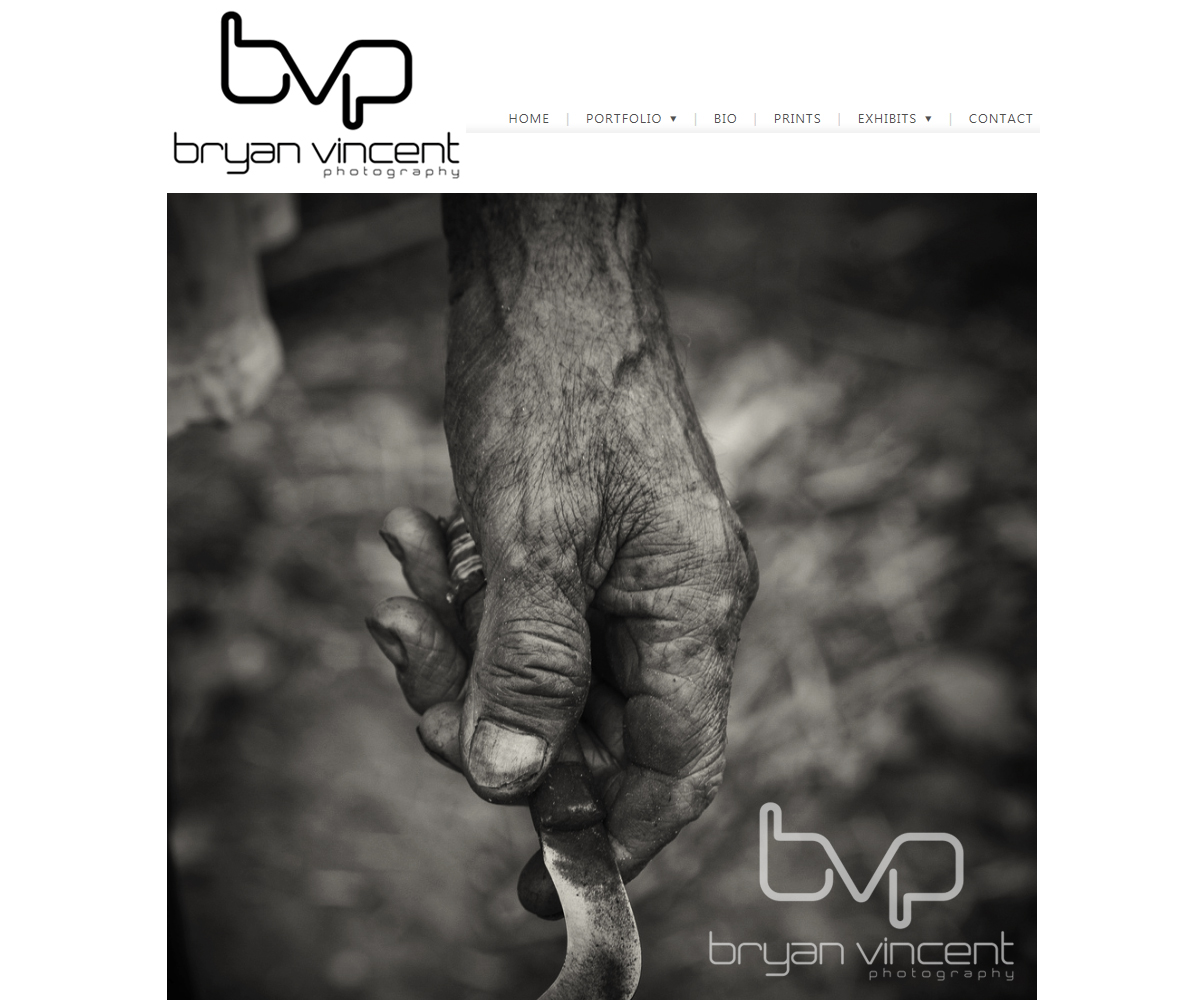 Logo Design by carina_designs for Bryan Vincent Photography | Design #15849700