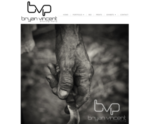 Logo Design by carina_designs for Bryan Vincent Photography | Design: #15849700