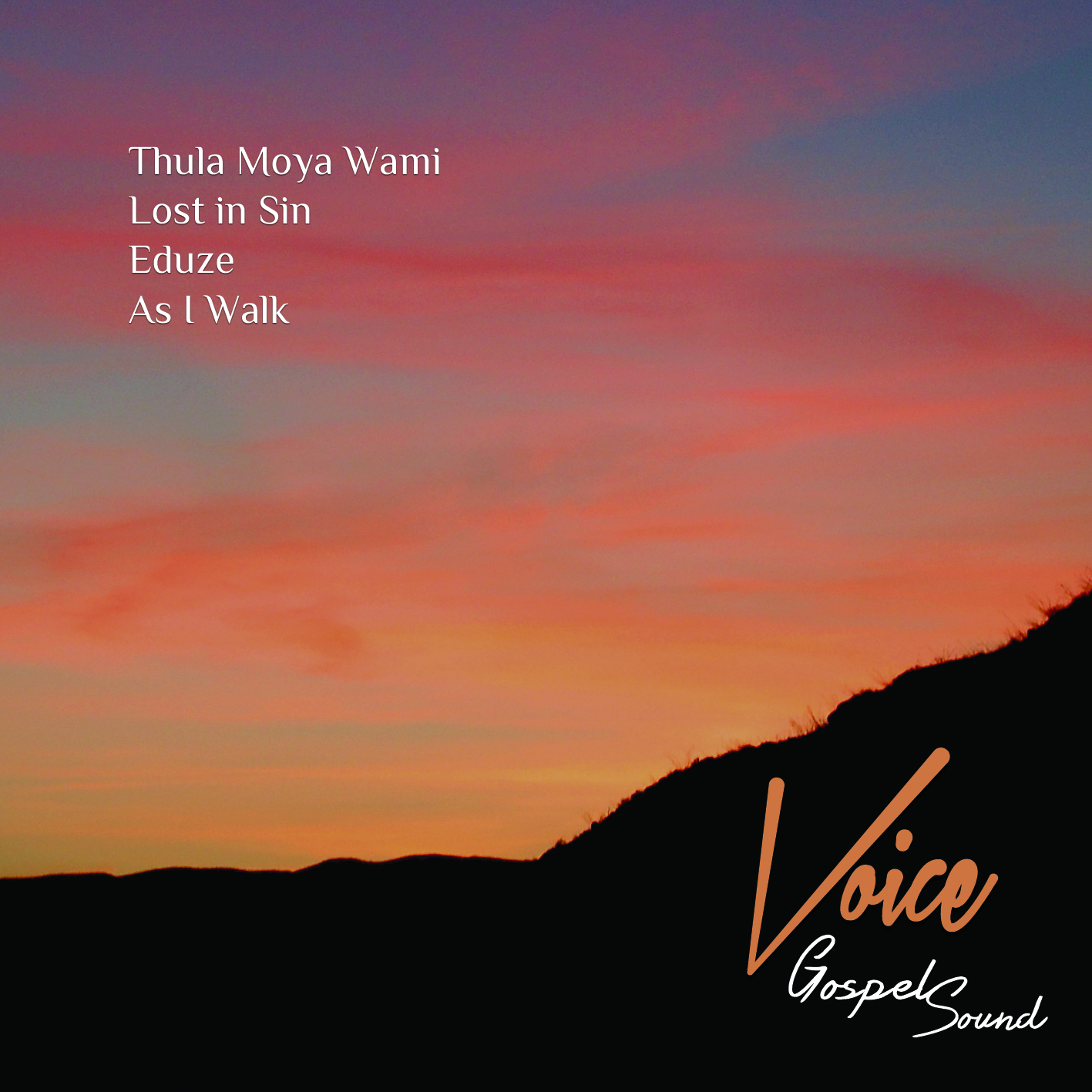 Diseño de Portada de CD por Kamu para este proyecto | Diseño #2737406