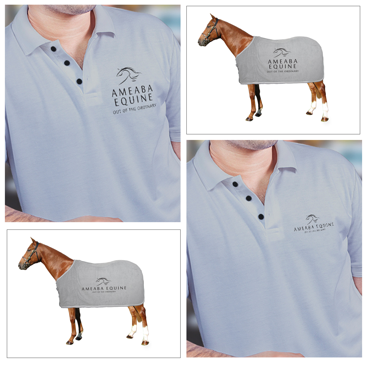 Logo Design by TheWisemo for Ameaba Equine | Design #15920054