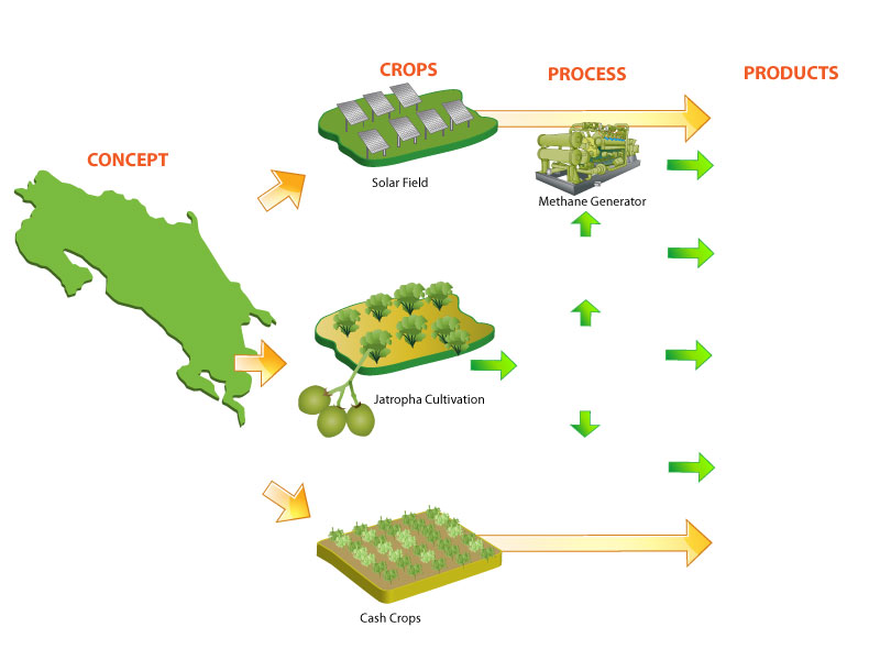 Illustration Design by artistraman for GFE Global | Design #609050