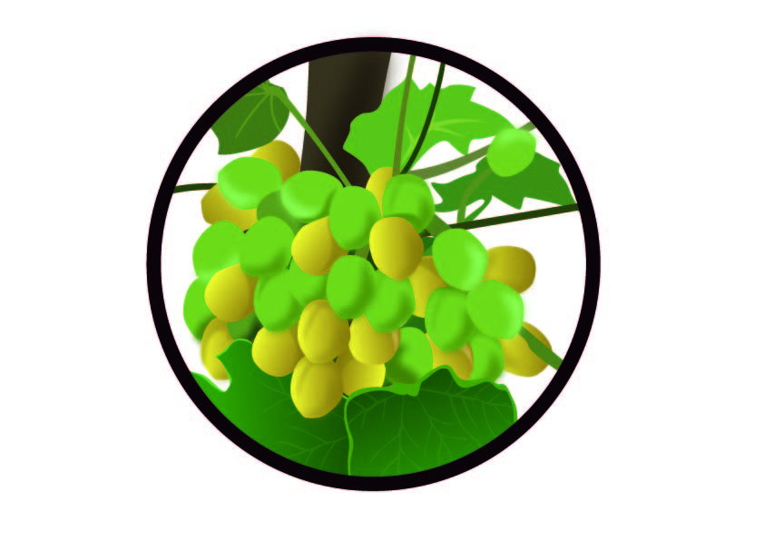 Illustration Design by Eddiey for GFE Global | Design #627372