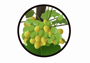 Illustration Design by Eddiey for GFE Global | Design: #627372