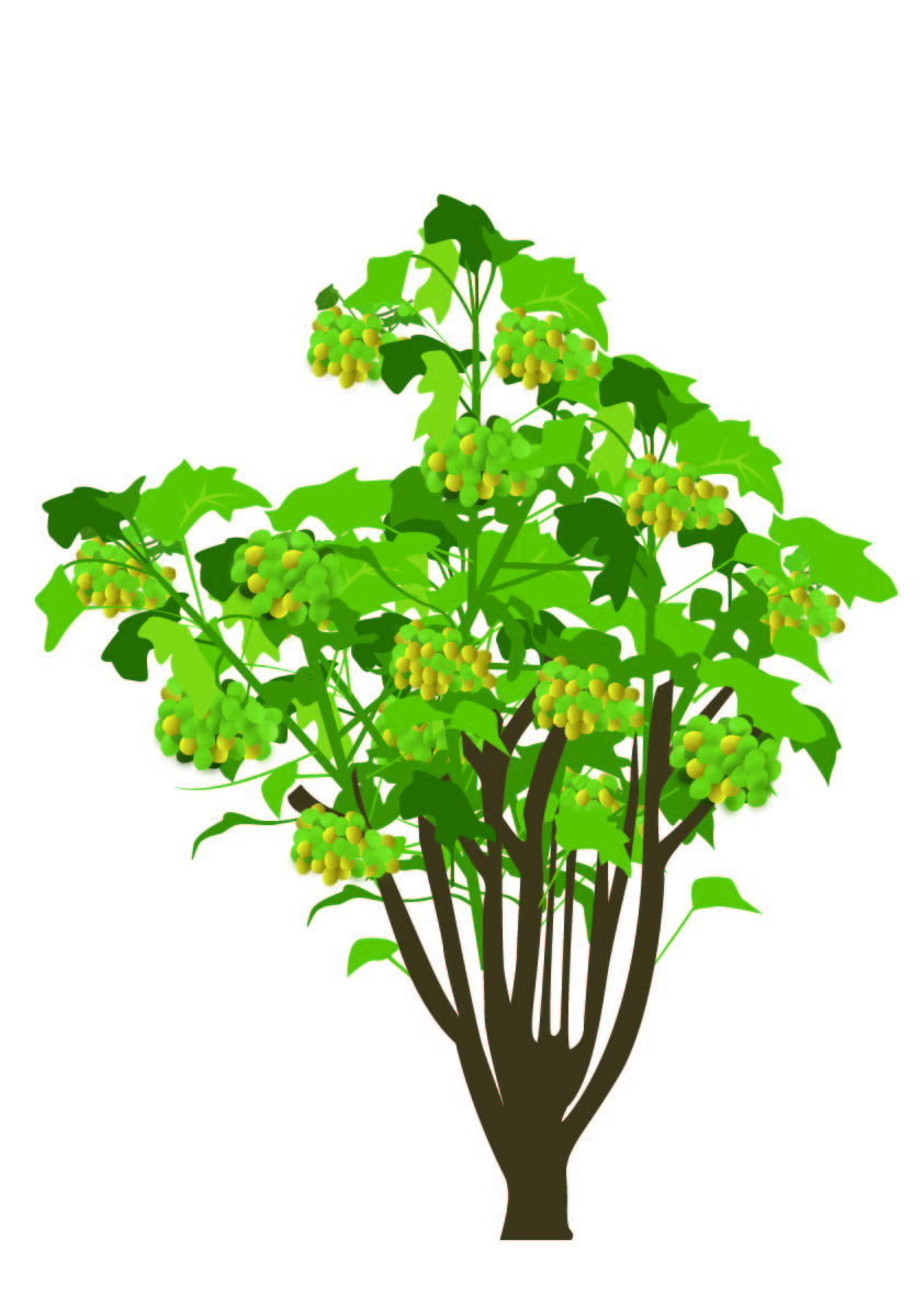 Illustration Design by Eddiey for GFE Global | Design #627389