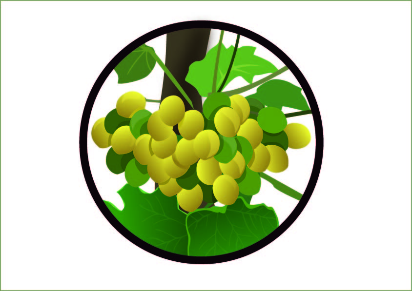 Illustration-Design von Eddiey für GFE Global | Design #637792