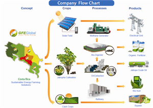 Illustration Design Project- Company Project flow chart | Illustration Design by Eddiey