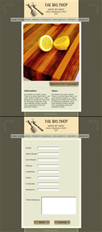 Web Design by Dolphi Interactive for Nacho Media | Design #40293