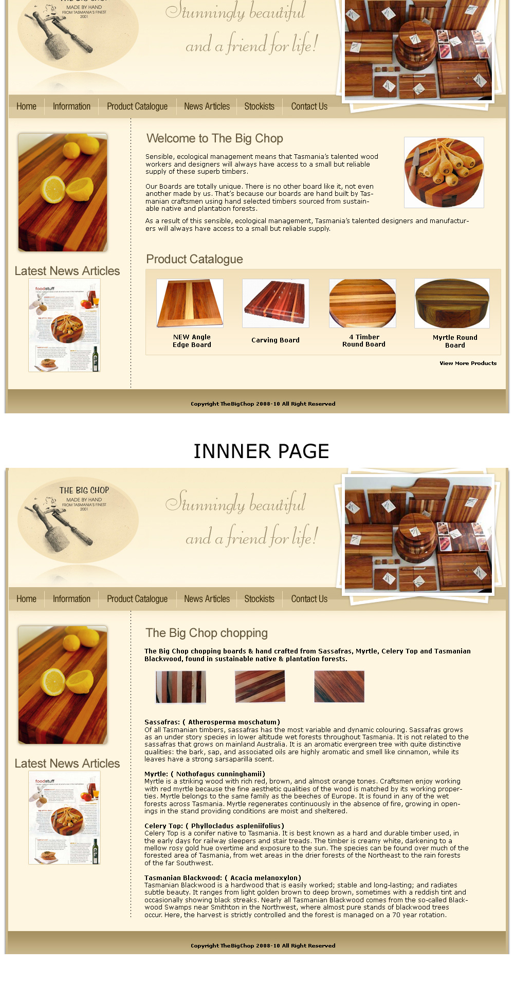Web Design by LogoDesigns.ae for Nacho Media | Design #40978