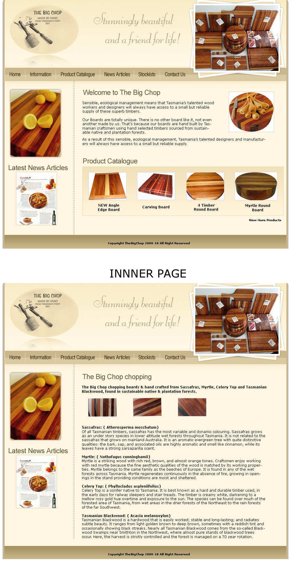 Web Design by LogoDesigns.ae for Nacho Media | Design #41021