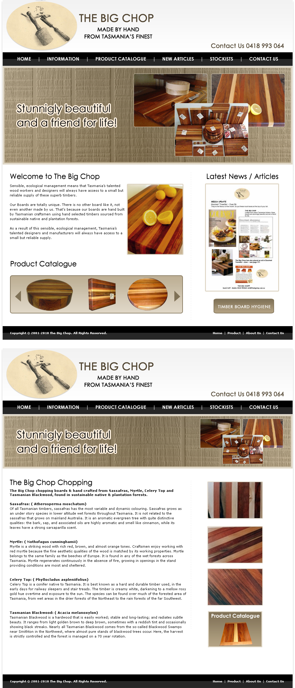 Web Design by LogoDesigns.ae for Nacho Media | Design #41695