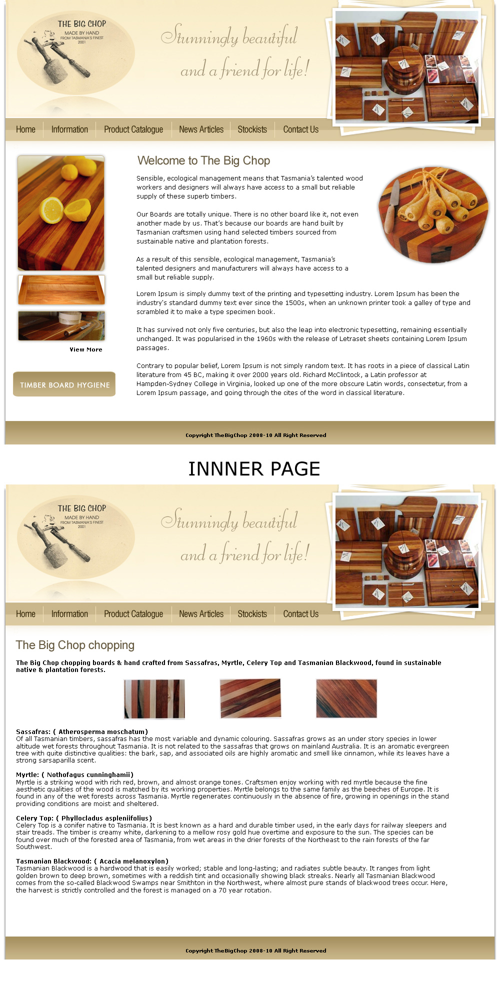 Web Design by LogoDesigns.ae for Nacho Media | Design #42201