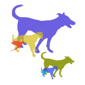 T-shirt Design by davem for Wildlife & Veterinary Supplies | Design: #15855457